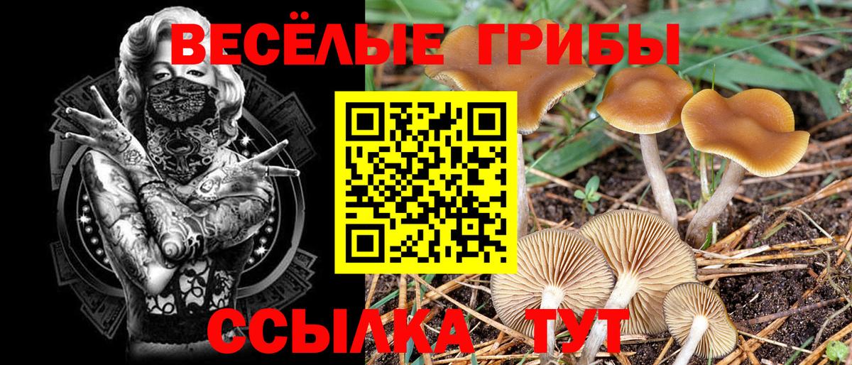 Псилоцибиновые грибы мухоморы  Вход с VPN  Глазов 