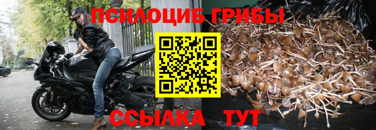 Псилоцибиновые грибы ЛСД Глазов